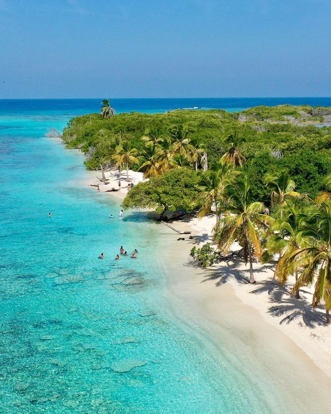 Morrocoy National Park beach with palm trees